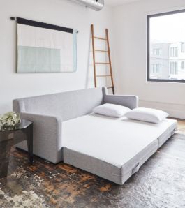 Comfortable Sofa Bed with 2 white pillow